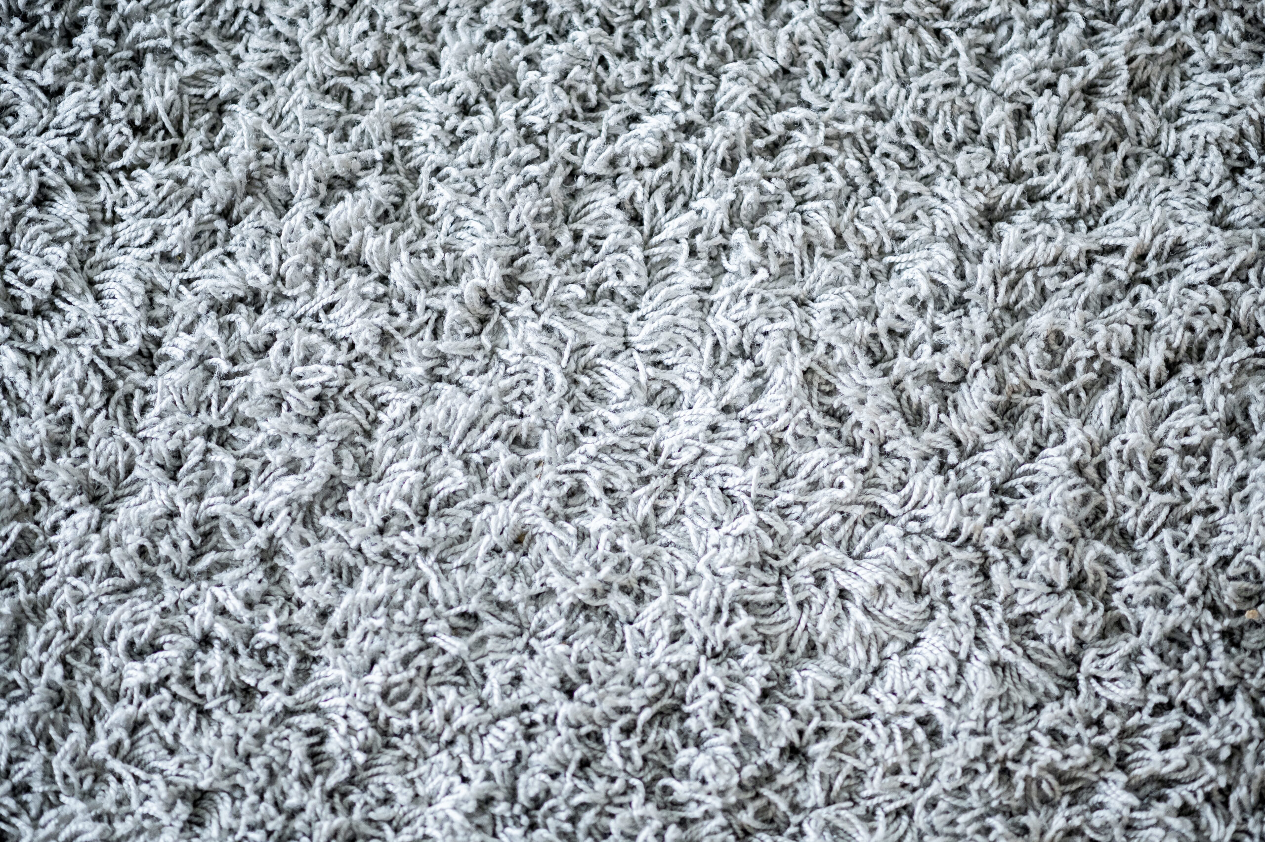 How to Clean My Carpet at Home